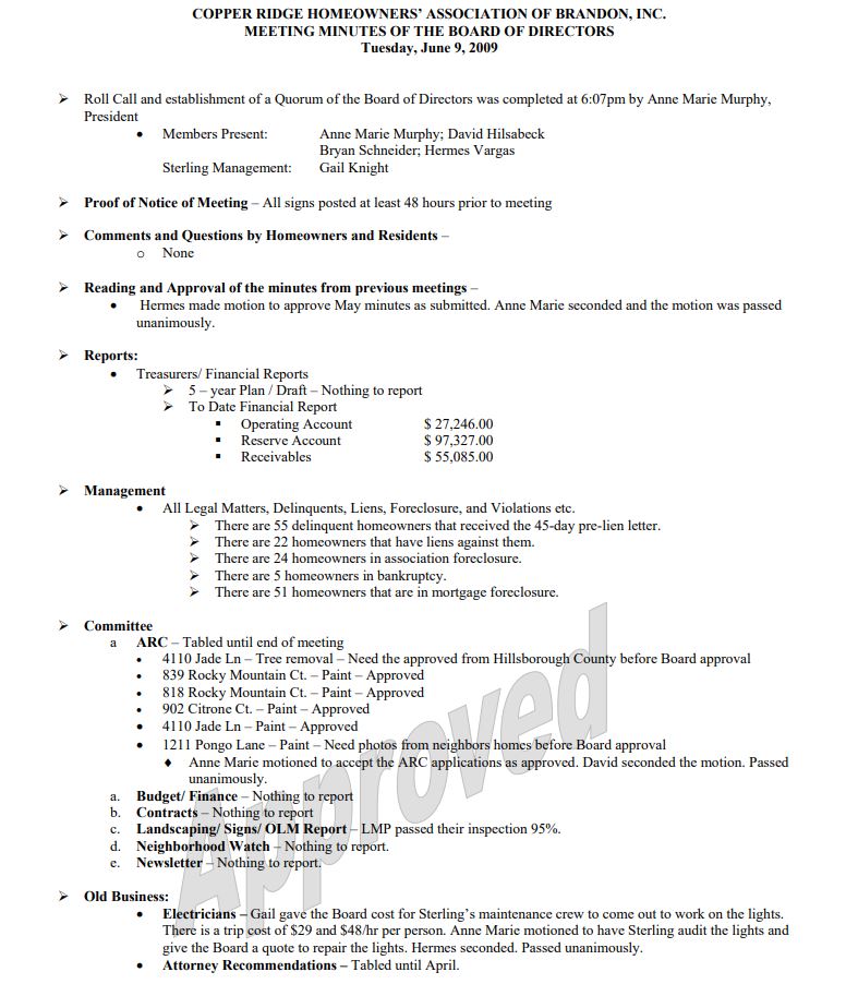 June 2009 Board Meeting Minutes